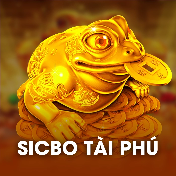 sibco-tai-phu-twin68