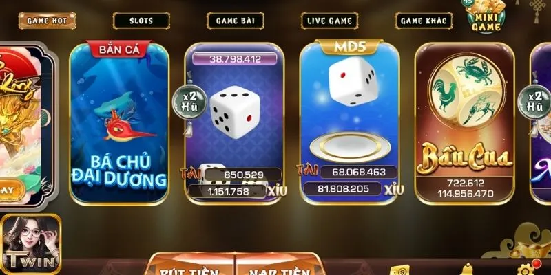 Mục tiêu của chính sách bảo mật Twin68